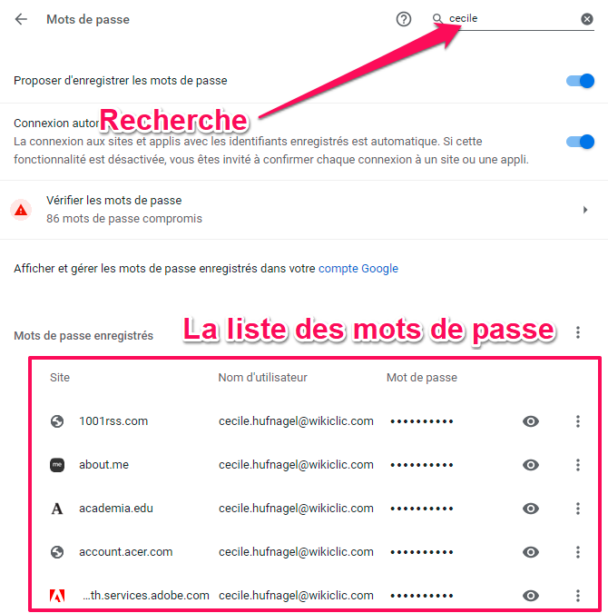 Comment G Rer Tous Les Mots De Passe Enregistr S