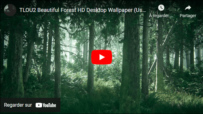 forêt-wallpaper